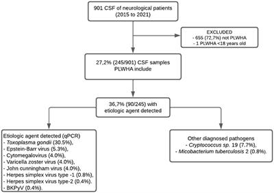 Molecular diagnosis of opportunistic infections in the central nervous system of HIV-infected adults in Manaus, Amazonas